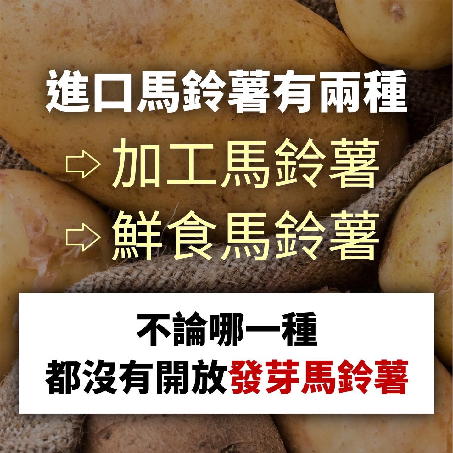 政府「沒開放發芽馬鈴薯」，檢疫條件「完全比照日本」